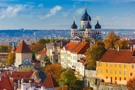 tallin ldd